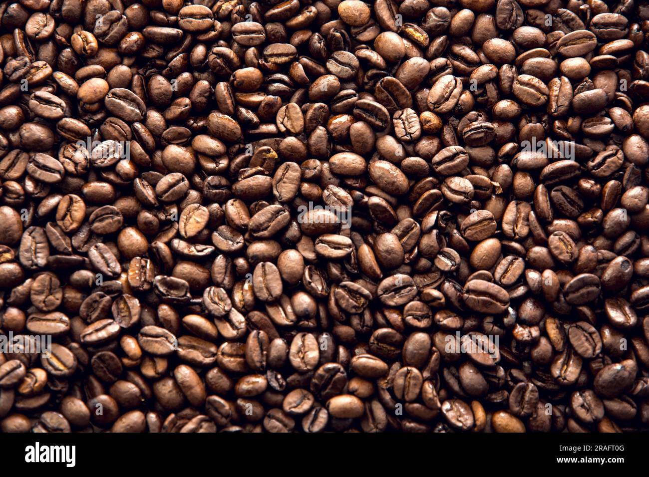 primo piano della consistenza dei semi di caffè marrone Foto Stock
