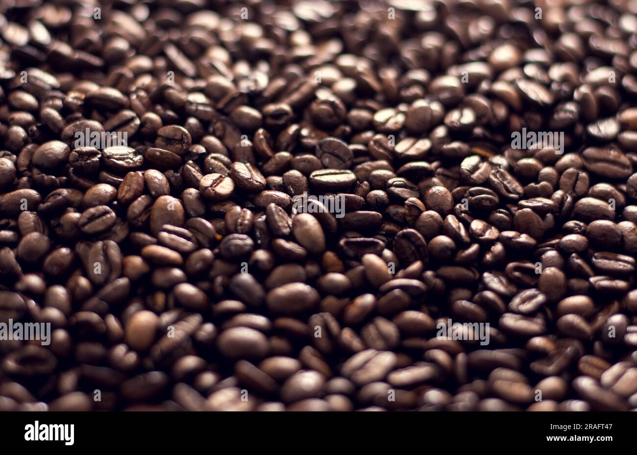 primo piano della consistenza dei semi di caffè marrone Foto Stock