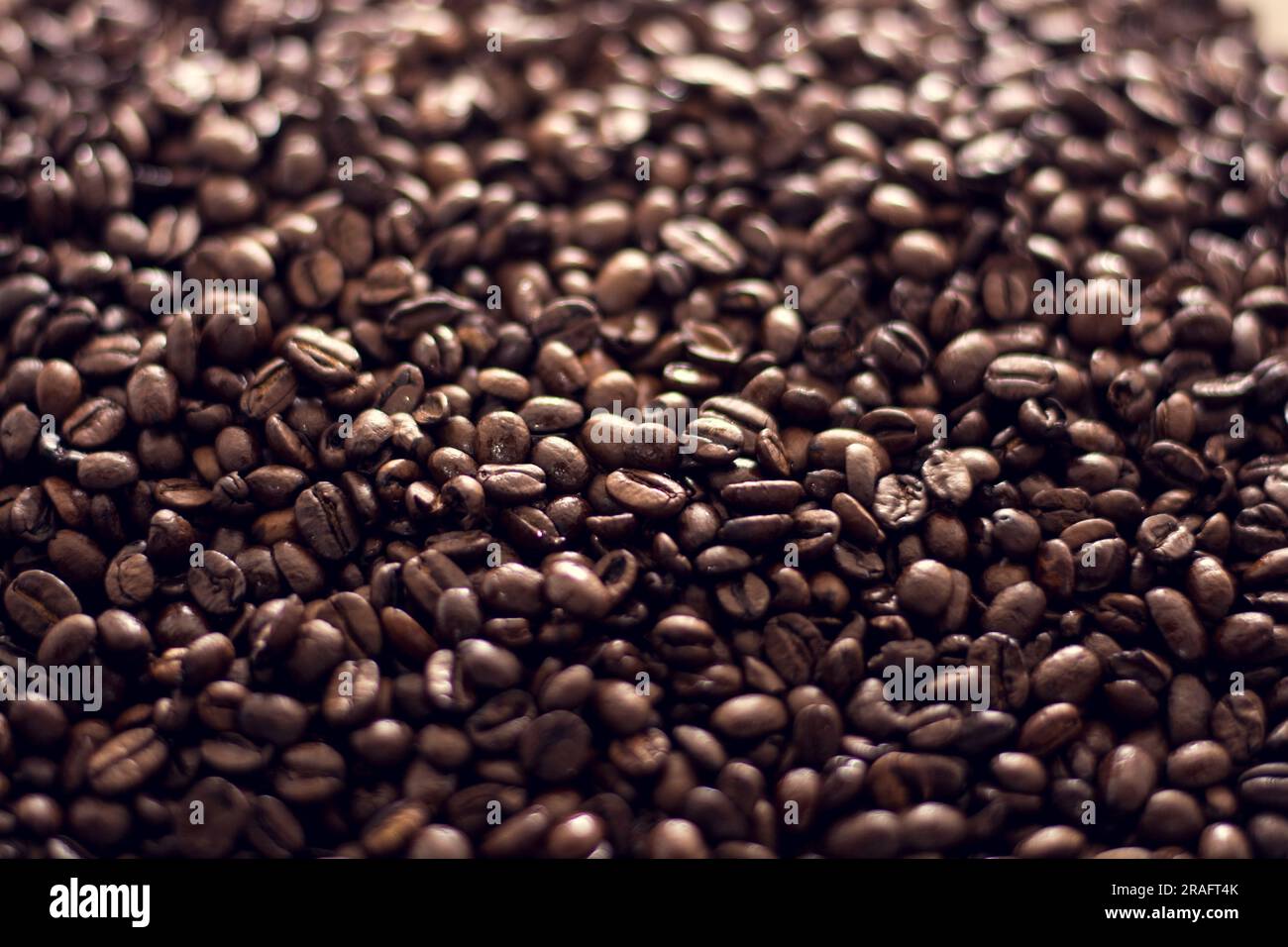 primo piano della consistenza dei semi di caffè marrone Foto Stock
