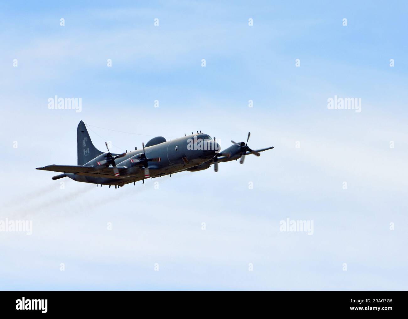 RCAF CP 140 Lockheed Aurora velivolo da pattugliamento marittimo operato dalla Royal Canadian Air Force in volo. Foto Stock