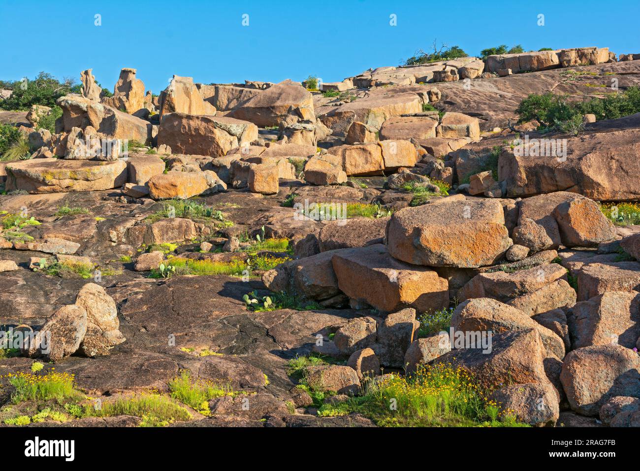 Texas, Hill Country, comprende le contee di Gillespie e Llano, Enchanted Rock State Natural area, vista dal percorso Interpretive Loop Foto Stock