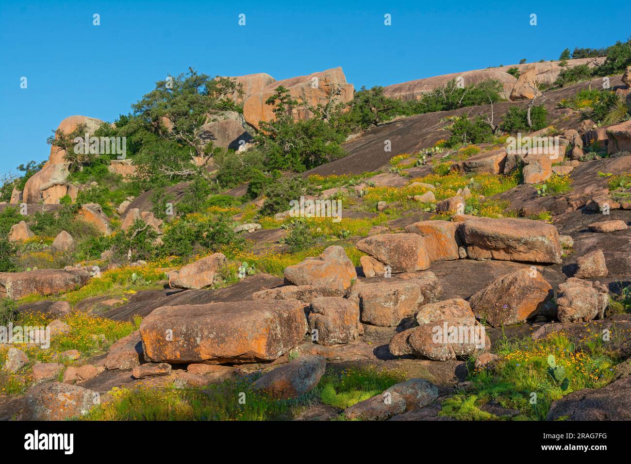Texas, Hill Country, comprende le contee di Gillespie e Llano, Enchanted Rock State Natural area, vista dal percorso Interpretive Loop Foto Stock