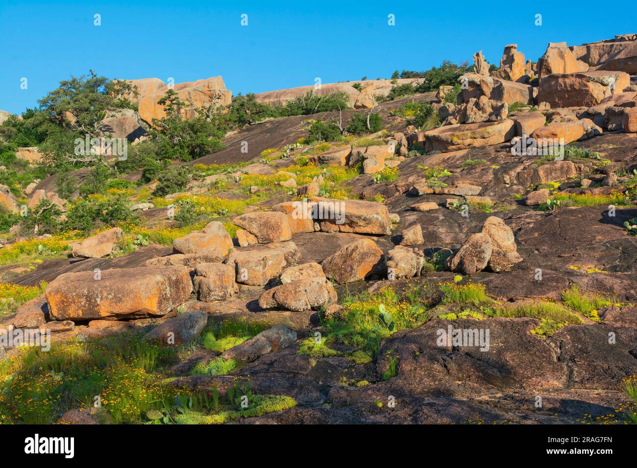 Texas, Hill Country, comprende le contee di Gillespie e Llano, Enchanted Rock State Natural area, vista dal percorso Interpretive Loop Foto Stock