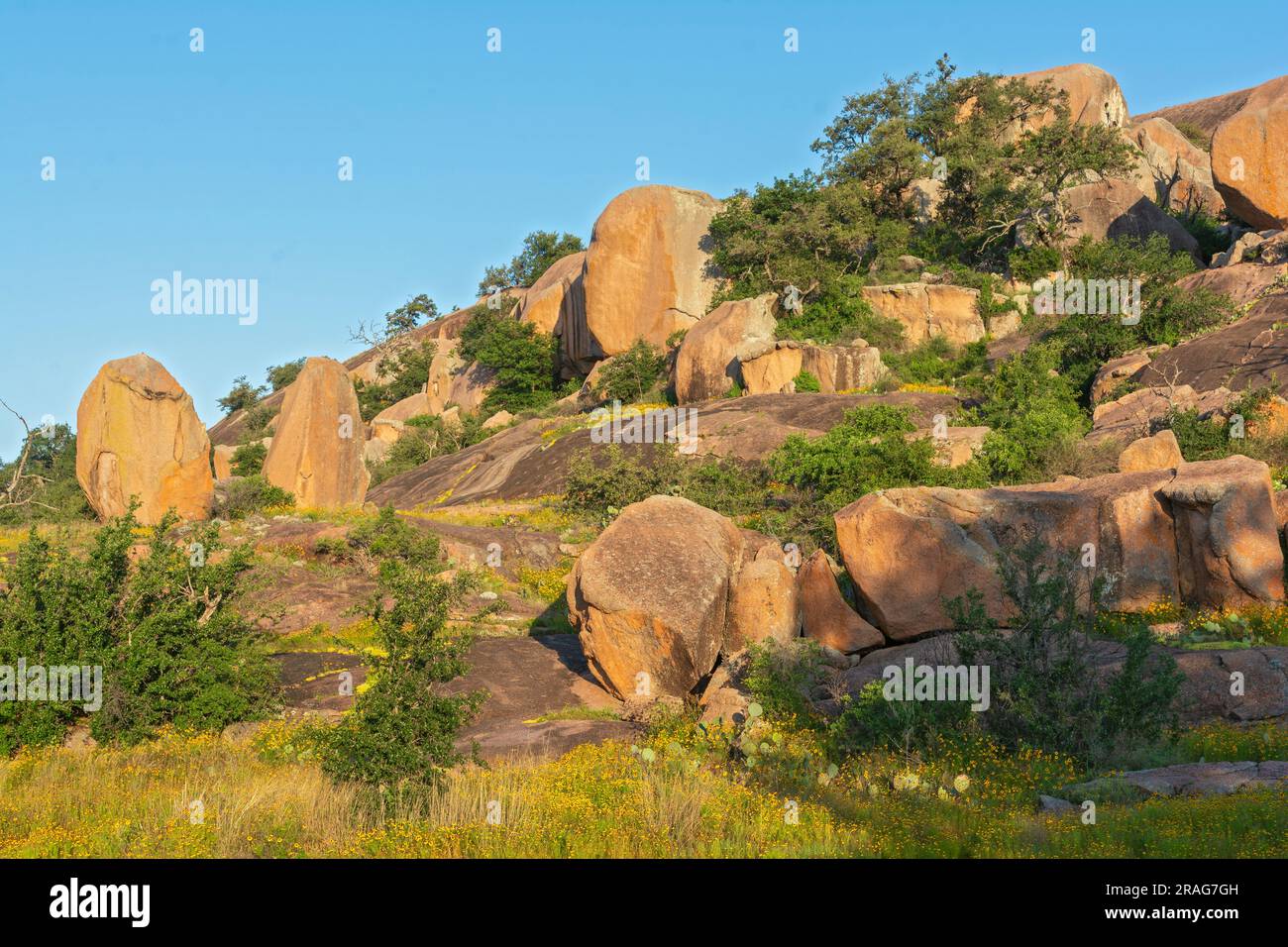 Texas, Hill Country, comprende le contee di Gillespie e Llano, Enchanted Rock State Natural area, vista dal percorso Interpretive Loop Foto Stock