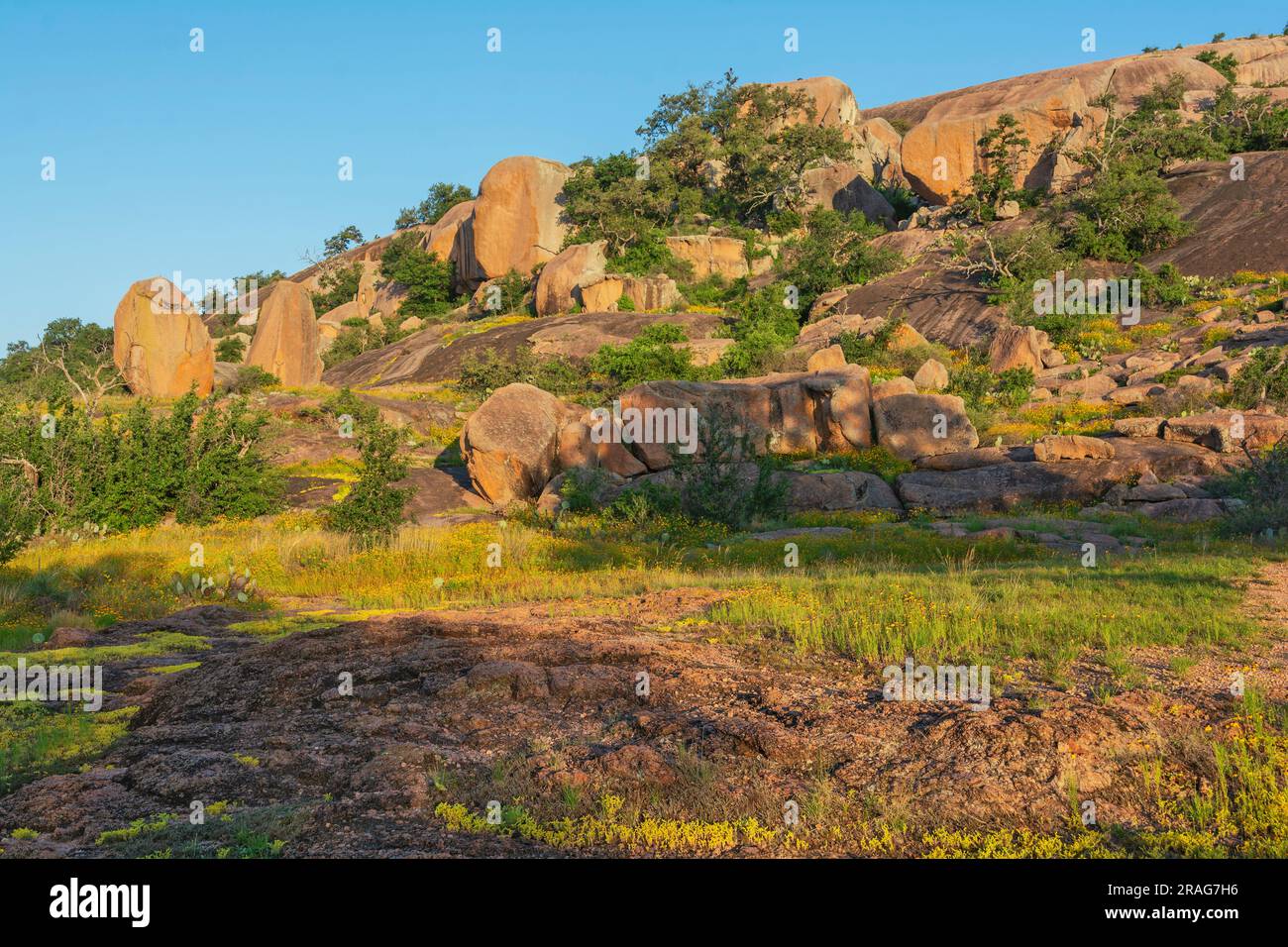 Texas, Hill Country, comprende le contee di Gillespie e Llano, Enchanted Rock State Natural area, vista dal percorso Interpretive Loop Foto Stock