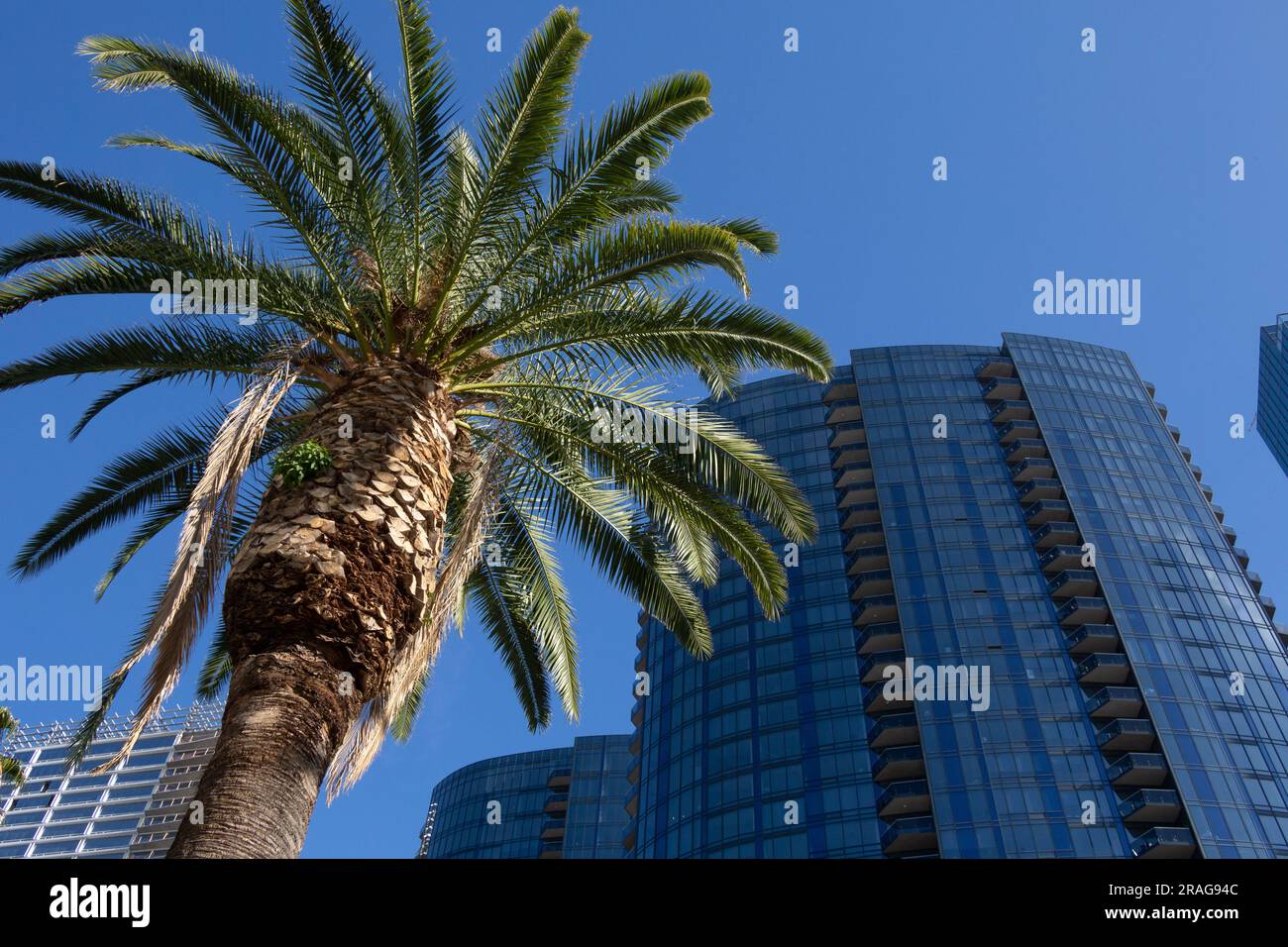 Circa LA Apartments nel centro di Los Angeles, CA, Stati Uniti Foto Stock