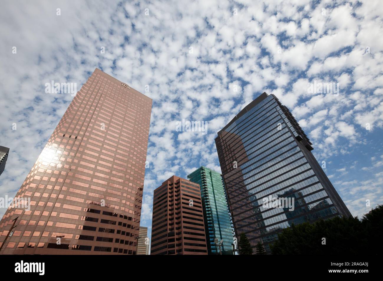 TCW Tower, Federal Bank Building, Water Tower e Alina Luxury Residential Tower, parte dell'Apex Complex nel centro di Los Angeles, CALIFORNIA, USA Foto Stock