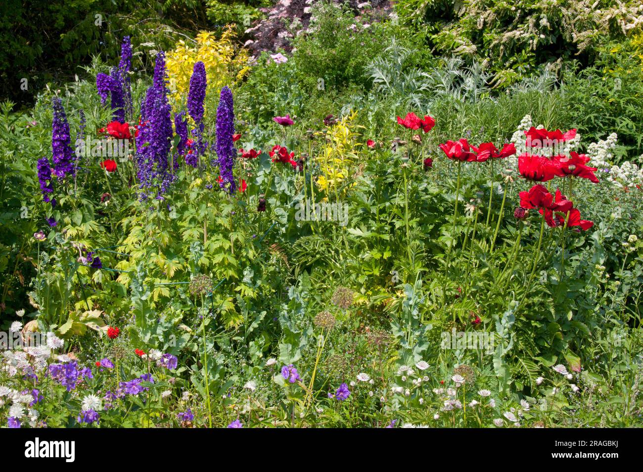 Cottage di campagna inglese con giardino estivo, Regno Unito Foto Stock