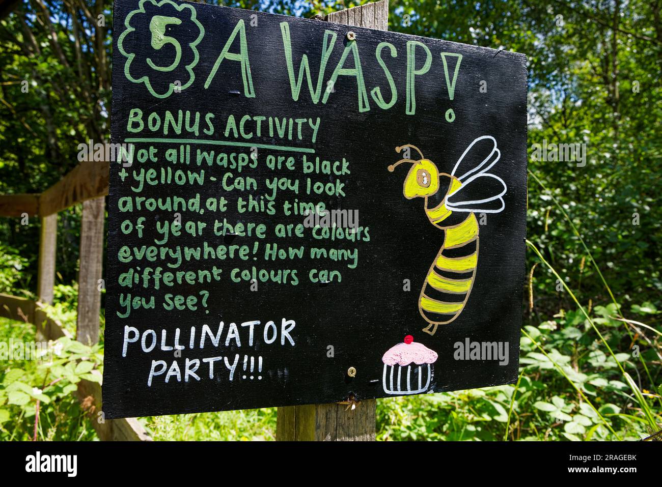 Impollinatori Foto Stock