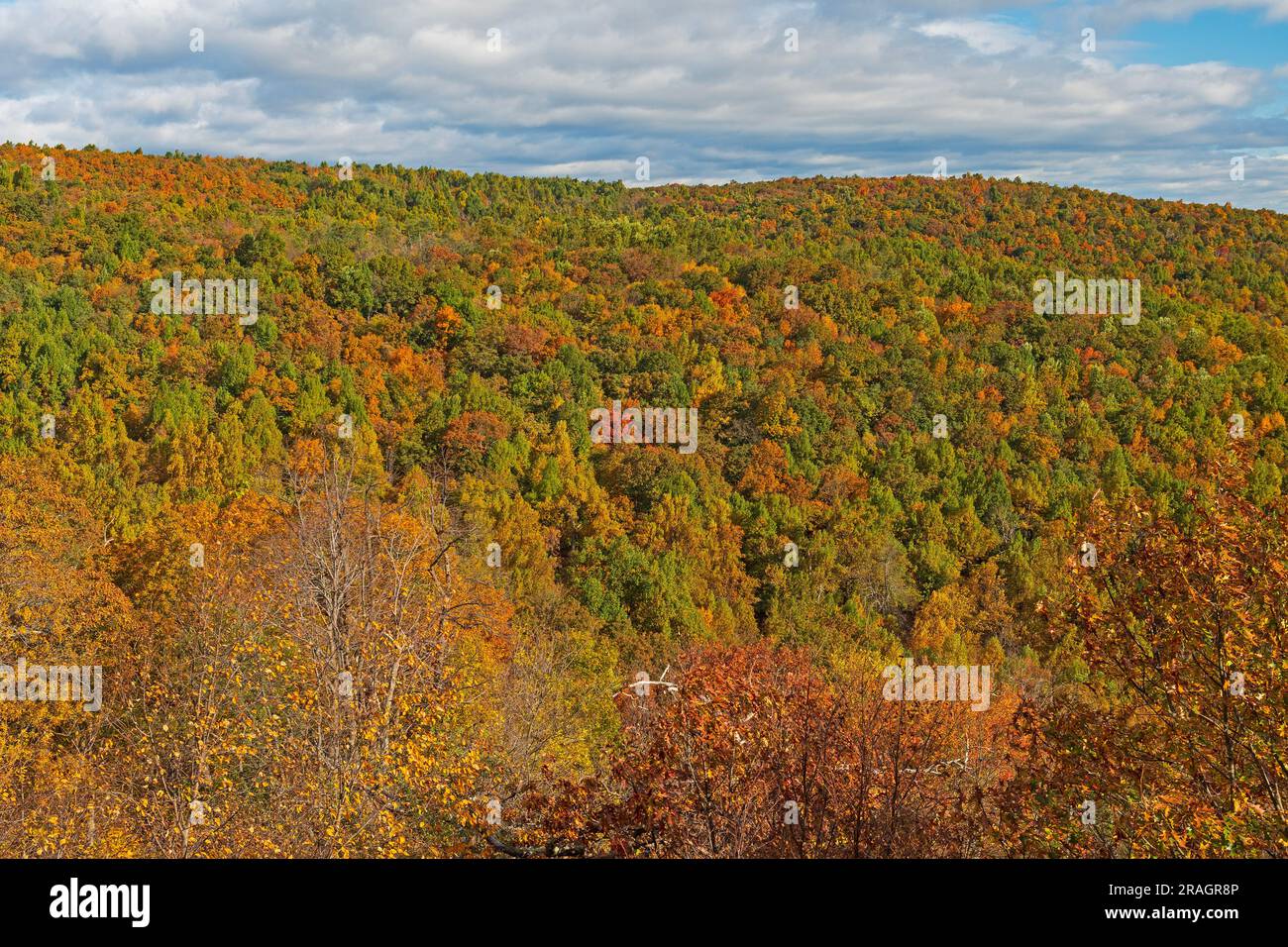 Colori autunnali su un crinale di montagna nel Parco Nazionale di Shenandoah in Virginia Foto Stock