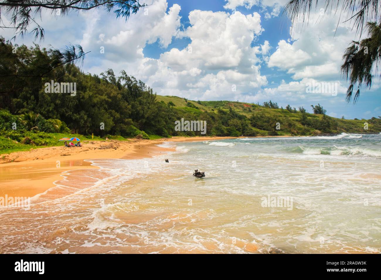 Bellissima spiaggia tropicale a Kauai, Hawaii. Vista dalla spiaggia. Vista della costa della spiaggia di Moloa con nuvole di marshmallow e vegetazione verde fiorente Foto Stock