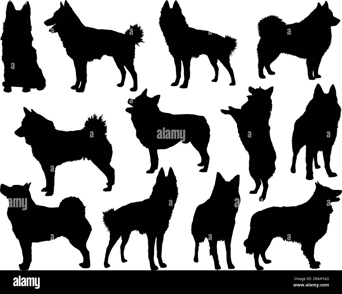 Set di silhouette Schipperke Dog Illustrazione Vettoriale Set di silhouette Schipperke Dog Illustrazione Vettoriale