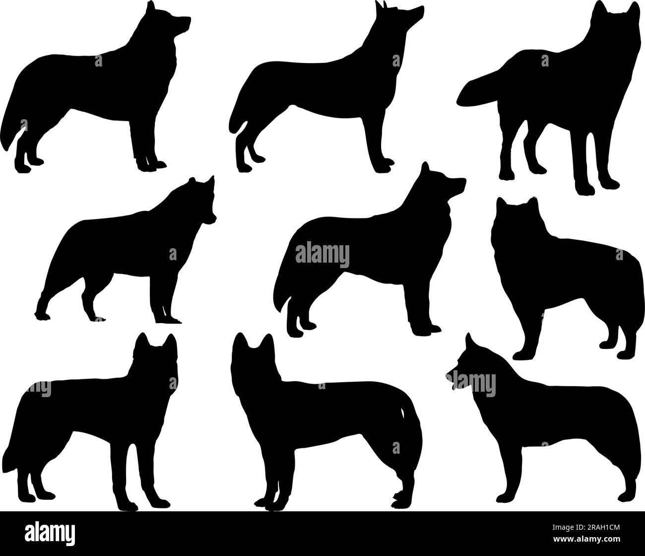 Set di silhouette Husky siberiana Illustrazione Vettoriale