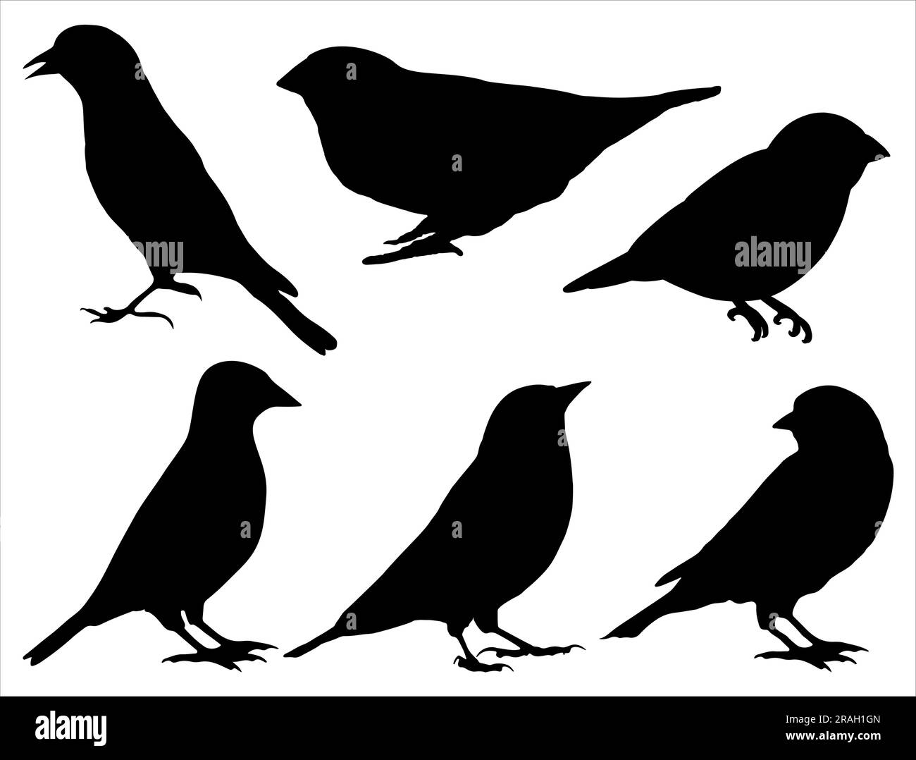 Set di silhouette Finch Bird Illustrazione Vettoriale