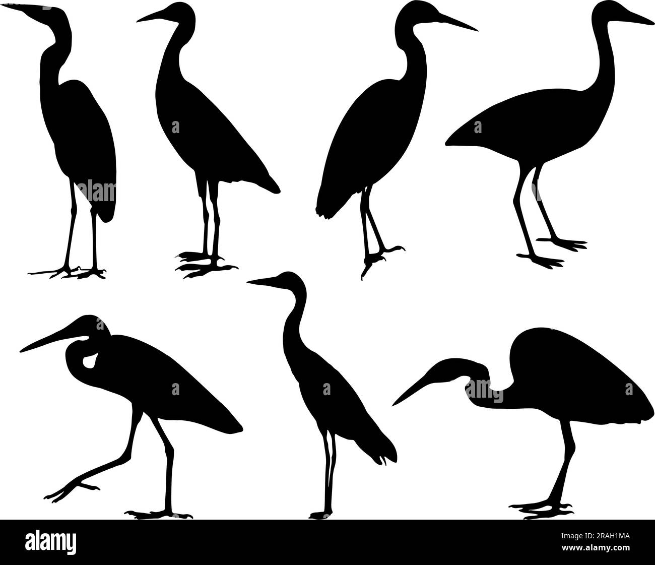Set di silhouette Egret Bird Illustrazione Vettoriale