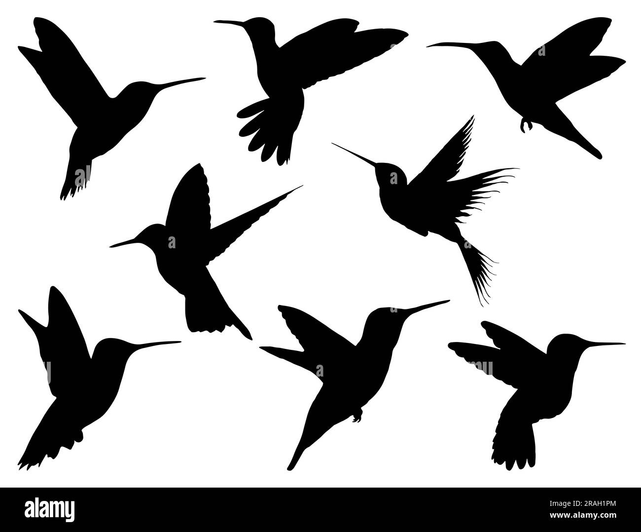 Set di silhouette Hummingbird Illustrazione Vettoriale