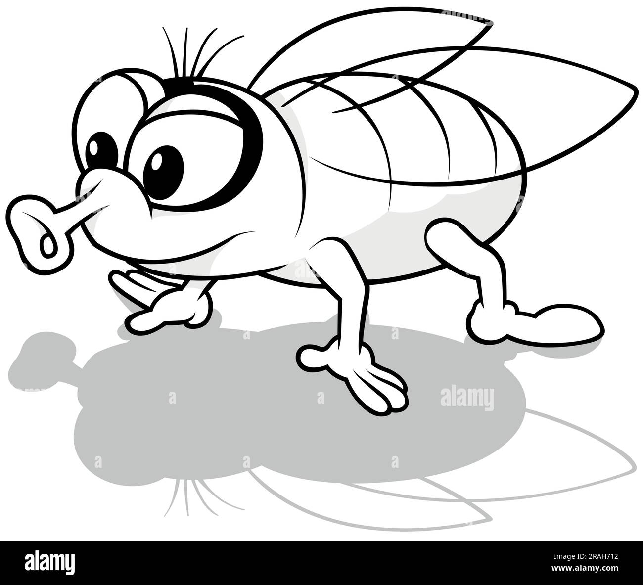 Disegno di Housefly su tutti e quattro gli arti Illustrazione Vettoriale