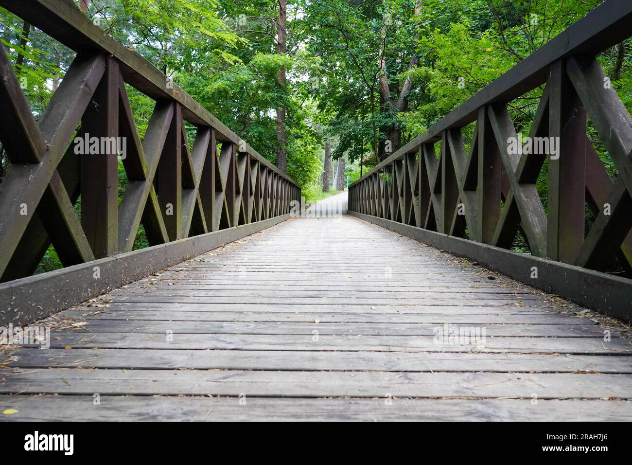 Ponte di legno nella foresta. Ponte per pedoni e motociclisti nel parco selvaggio. Foto Stock