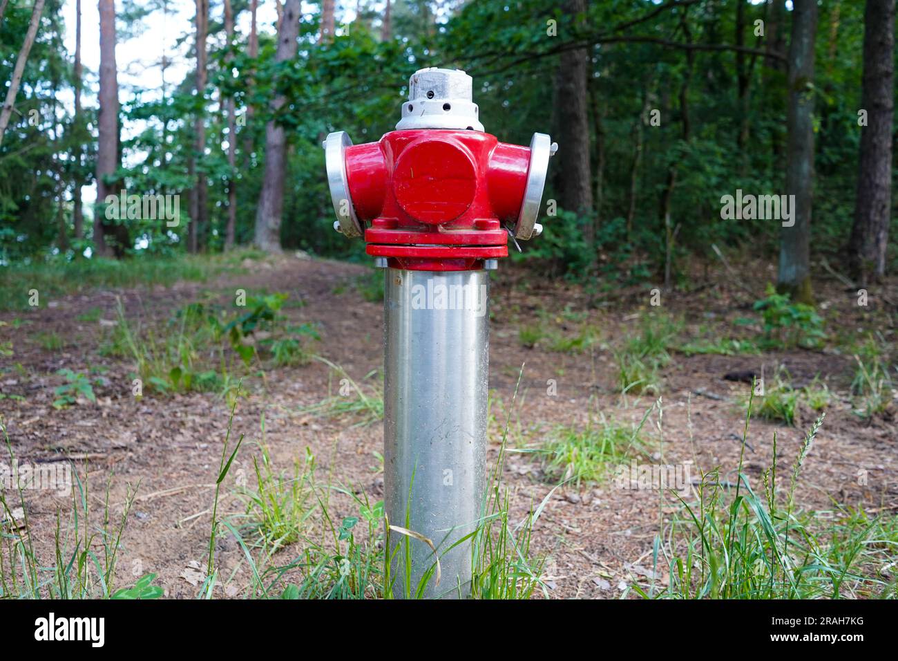 Red idrante di fuoco nel parco Foto Stock