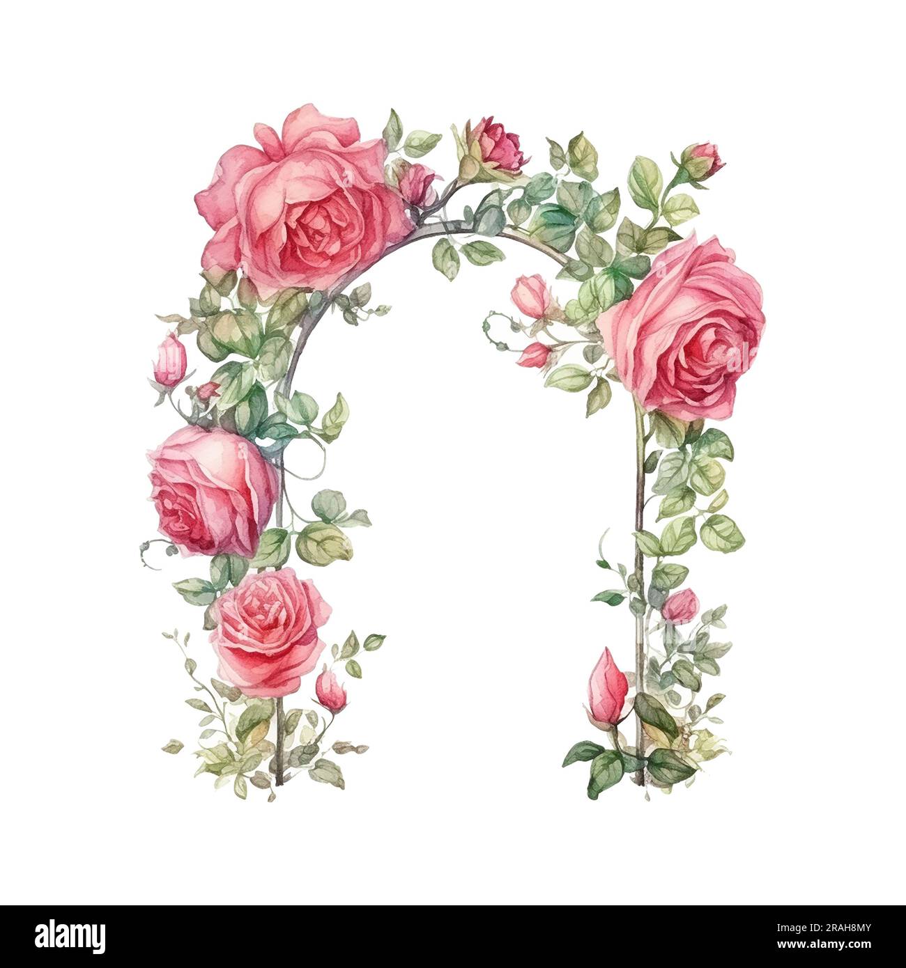 Arco con fiori da giardino di rose isolato su sfondo bianco. Giardino all'inglese. Illustrazione acquerello. Modello Foto Stock