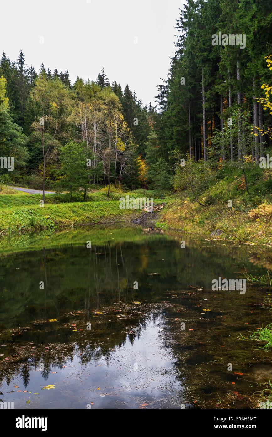 Piccolo lago con foresta colorata sullo sfondo nelle vrchy montagne di Vsetinske sopra il villaggio di Velke Karlovice in repubblica Ceca in autunno Foto Stock