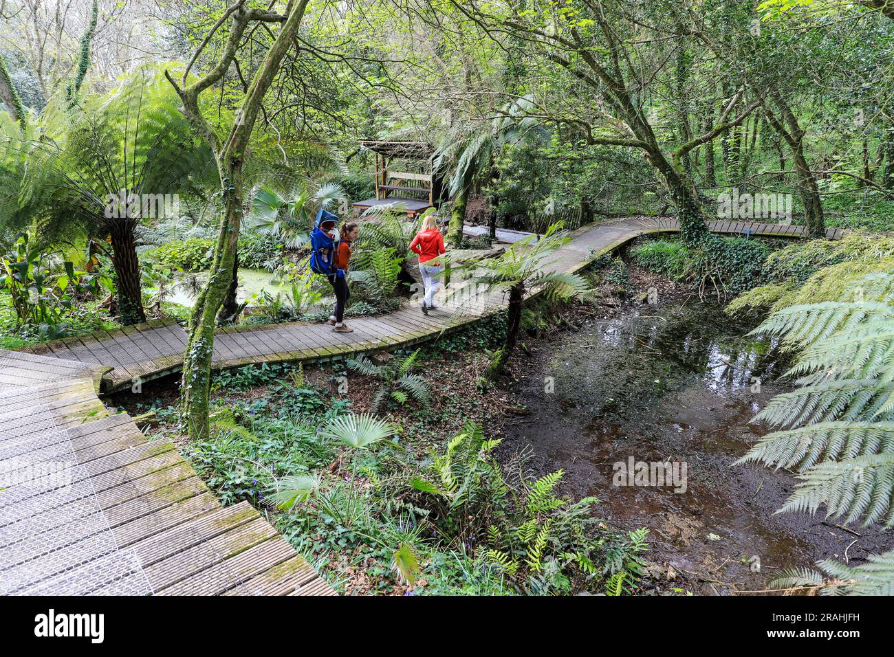 Una passeggiata sul lungomare ai Tremenheere Sculpture Gardens vicino a Penzance, Cornovaglia, Inghilterra, Regno Unito Foto Stock