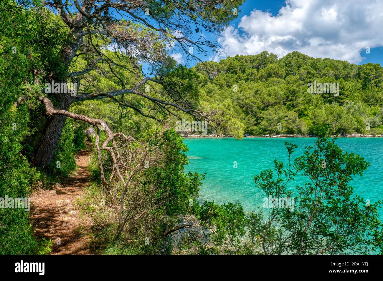 Un sentiero panoramico e ricreativo lungo la costa boscosa del lago Veliko Jezero nel Parco Nazionale di Mljet, sulla costa dalmata della Croazia. Foto Stock