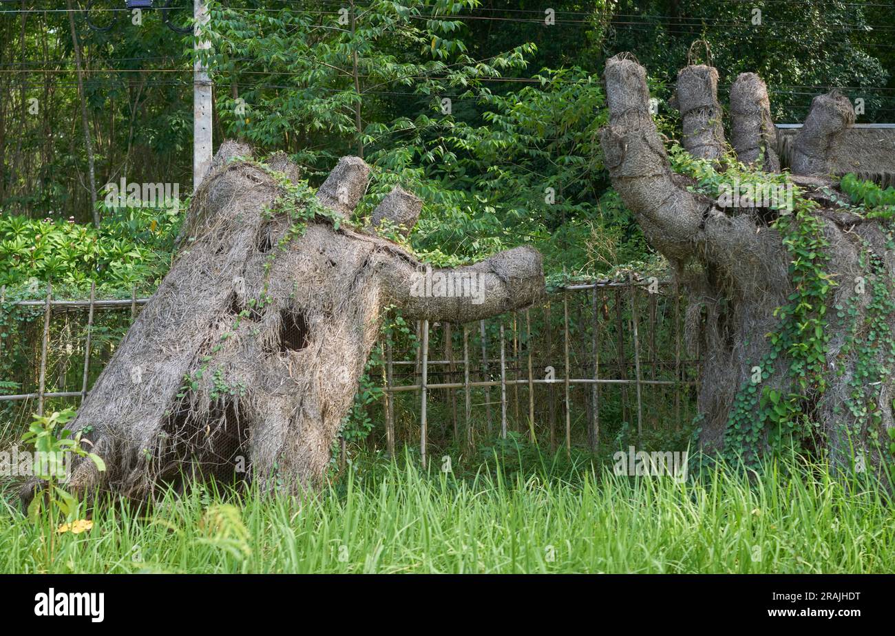 Grandi mani in una lussureggiante giungla verde. Foto Stock