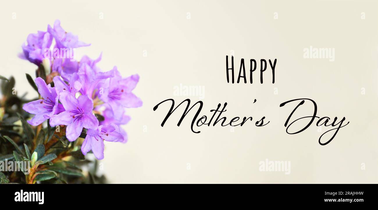 Biglietto Happy Mothers Day con fiori di rododendro Foto Stock