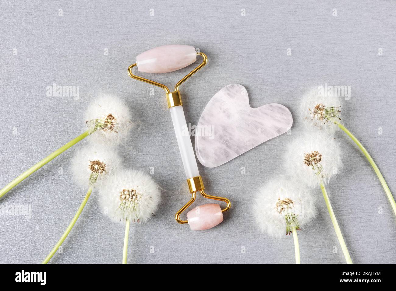 Rullo di giada rosa e gua sha per massaggio viso con dente di leone floreale. Massaggiatore per il viso. Cura anti età, sollevamento e tonificazione. Concetto di auto-cura moderno Foto Stock