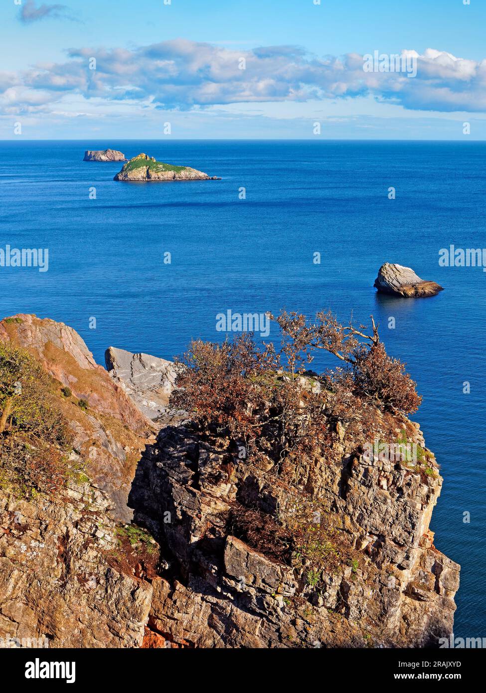 Regno Unito, Devon, Torbay, Torquay, East Shag, Thatcher Rock e ore Stone Foto Stock