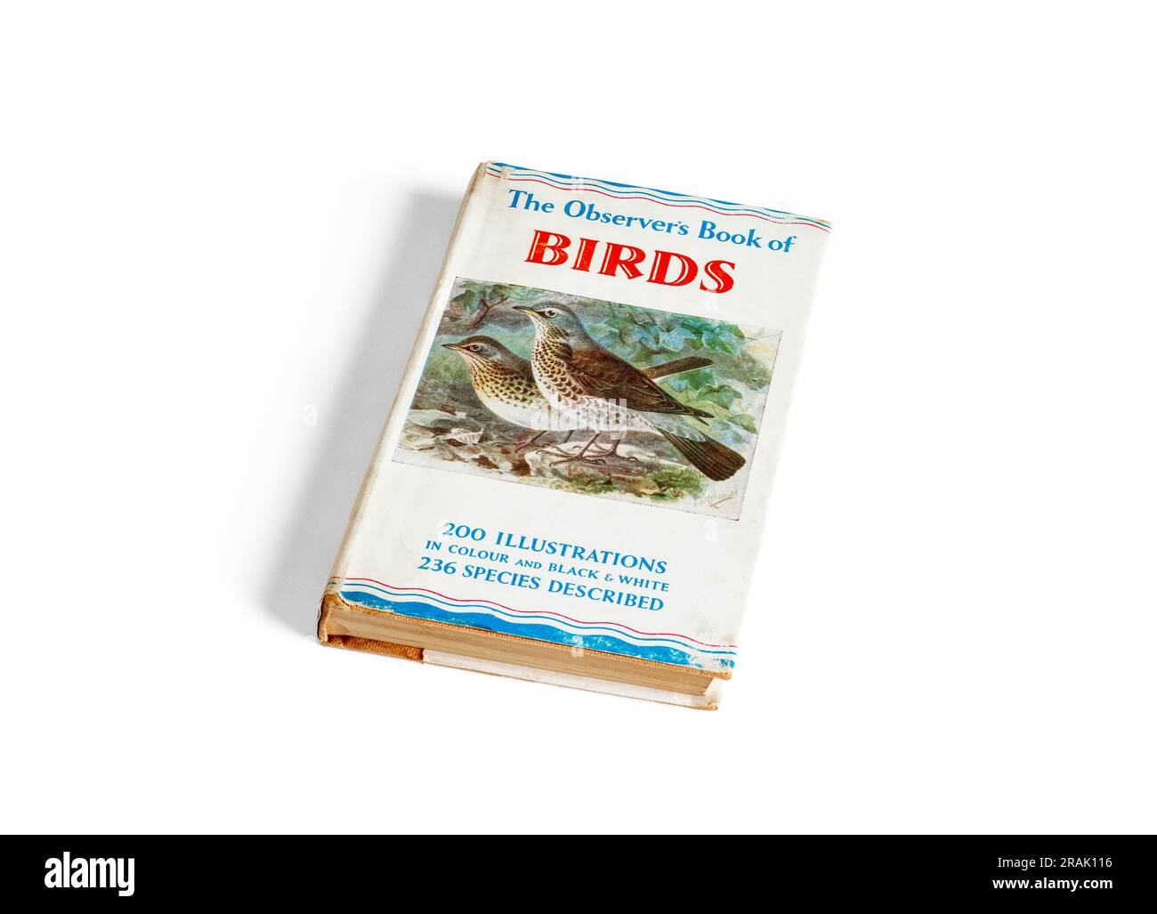 Edizione 1957 di The Observer's Book of Birds, Isolated on a White background, UK Foto Stock