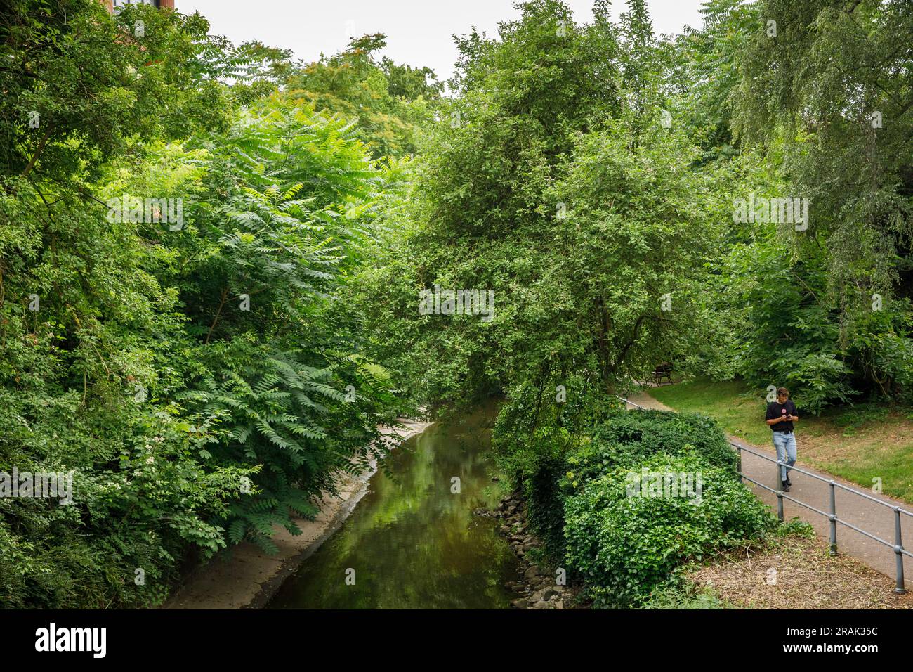 Sentiero Schwester-Laudeberta sul fiume AA, Muenster, Renania settentrionale-Vestfalia, Germania. Schwester-Laudeberta-Weg an der AA, Muenster, Nordrhein-Westfale Foto Stock