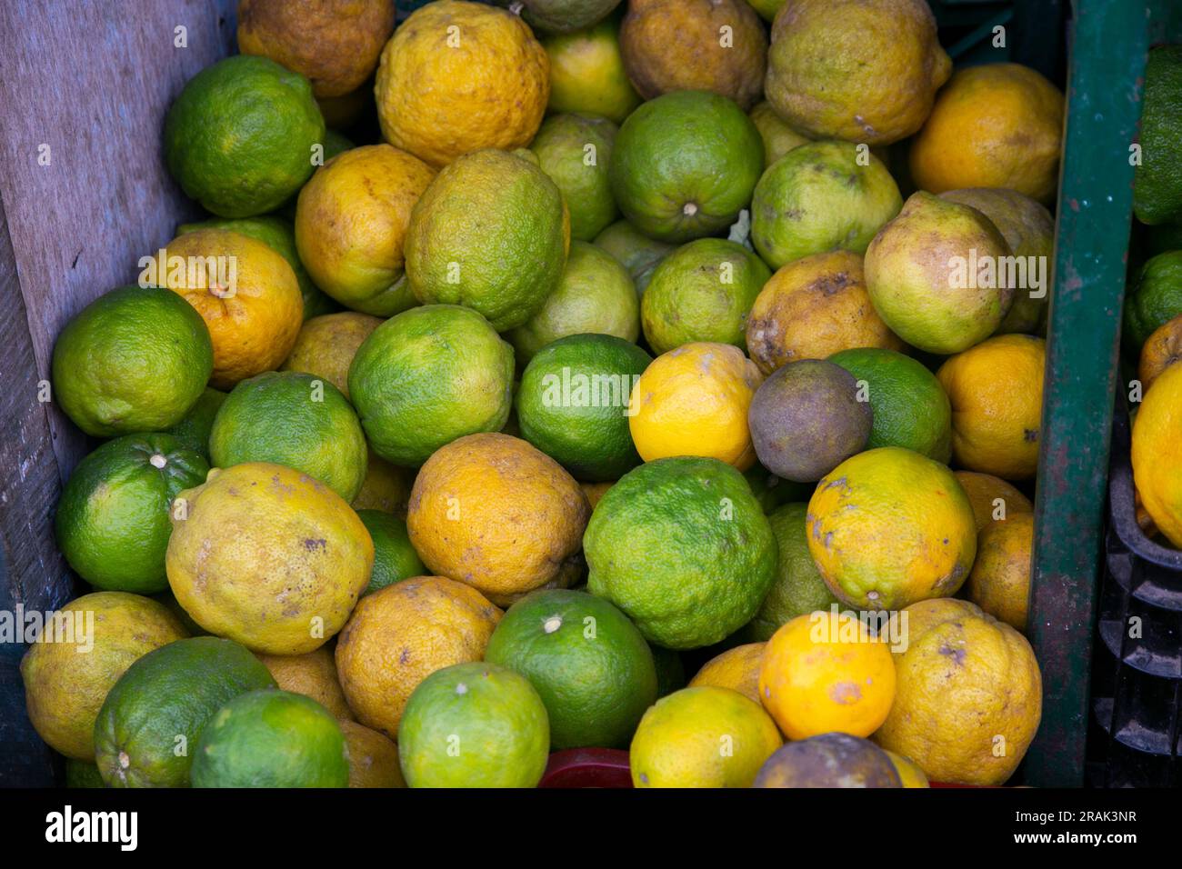 Varietà di limoni peruviani provenienti dalla giungla peruviana in un mercato in una zona dell'​​the Amazzonia. Foto Stock