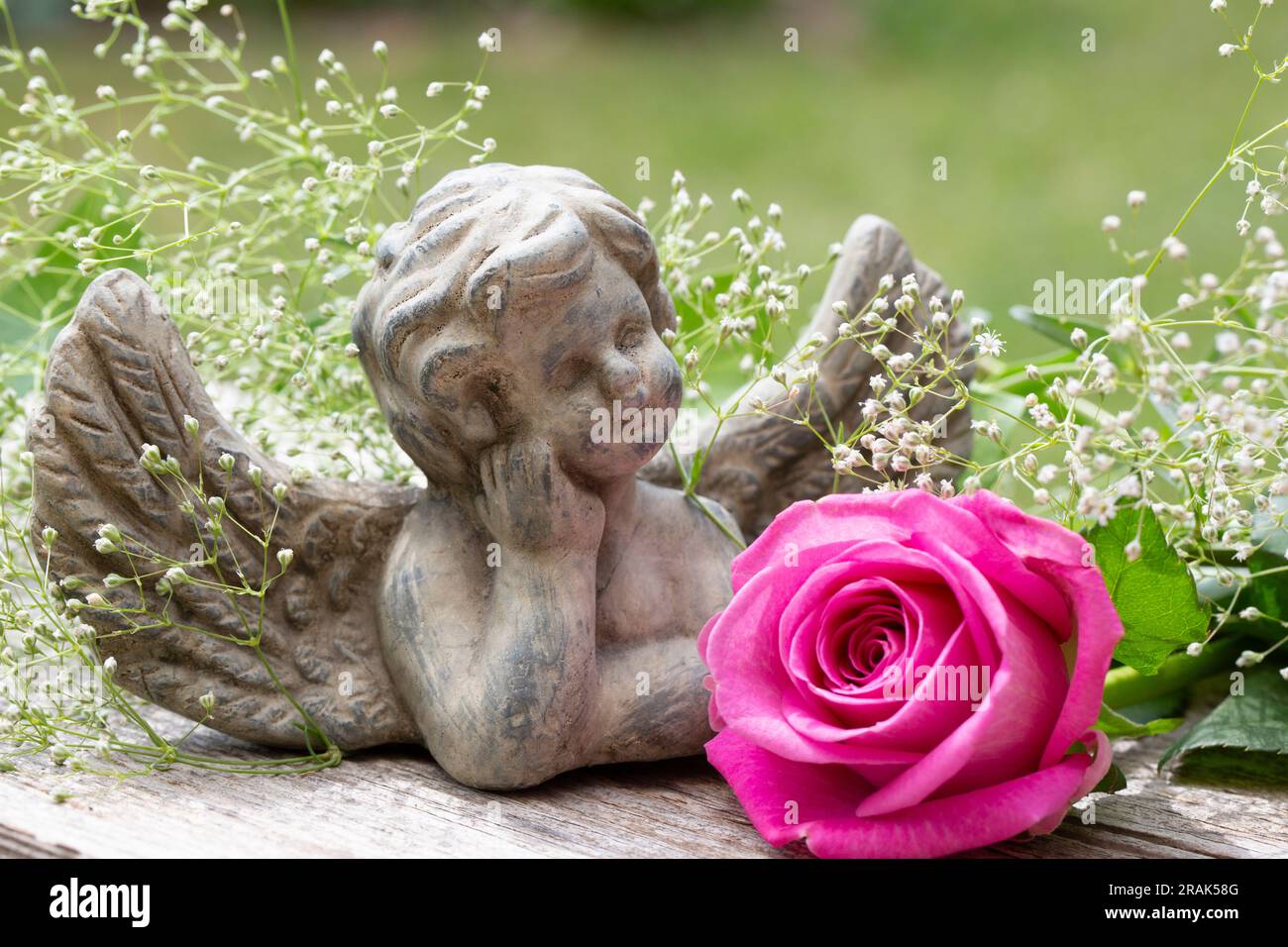 Piccola statuetta di angelo con rosa rosa e foglie verdi in un giardino Foto Stock