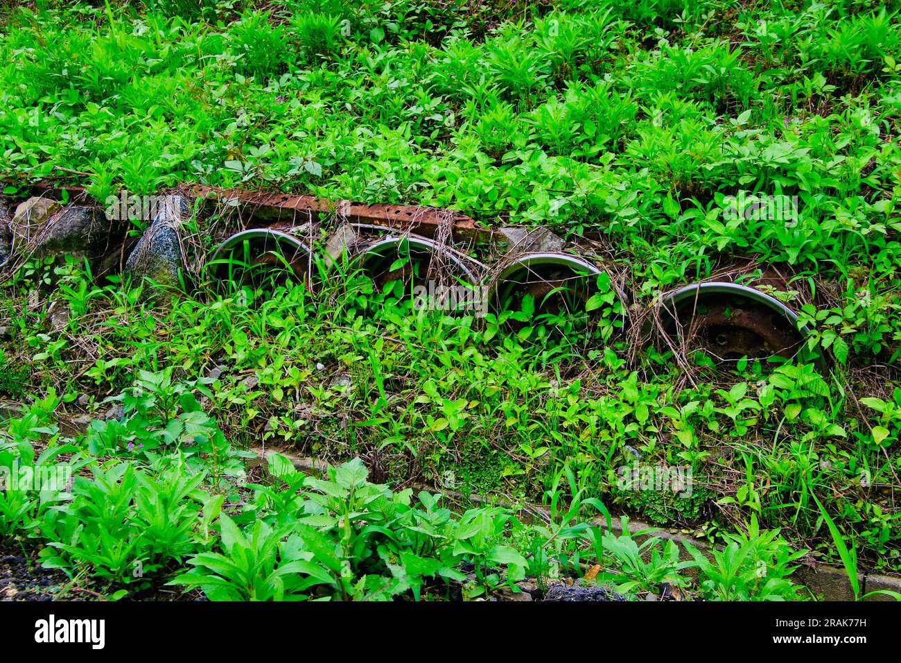 Ruote di vecchie auto Rusty in un campo in una città rurale Foto Stock
