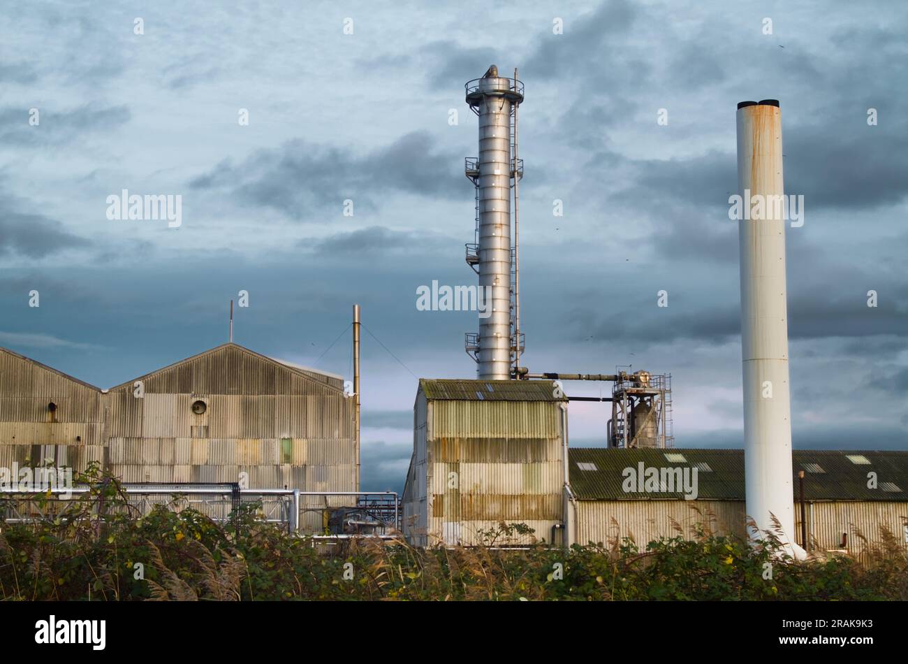 Sito industriale con Smokestacks, Chimneys and Corrugated Clad Buildings of PIL membranes Ltd, Kings Lynn Inghilterra Regno Unito Foto Stock