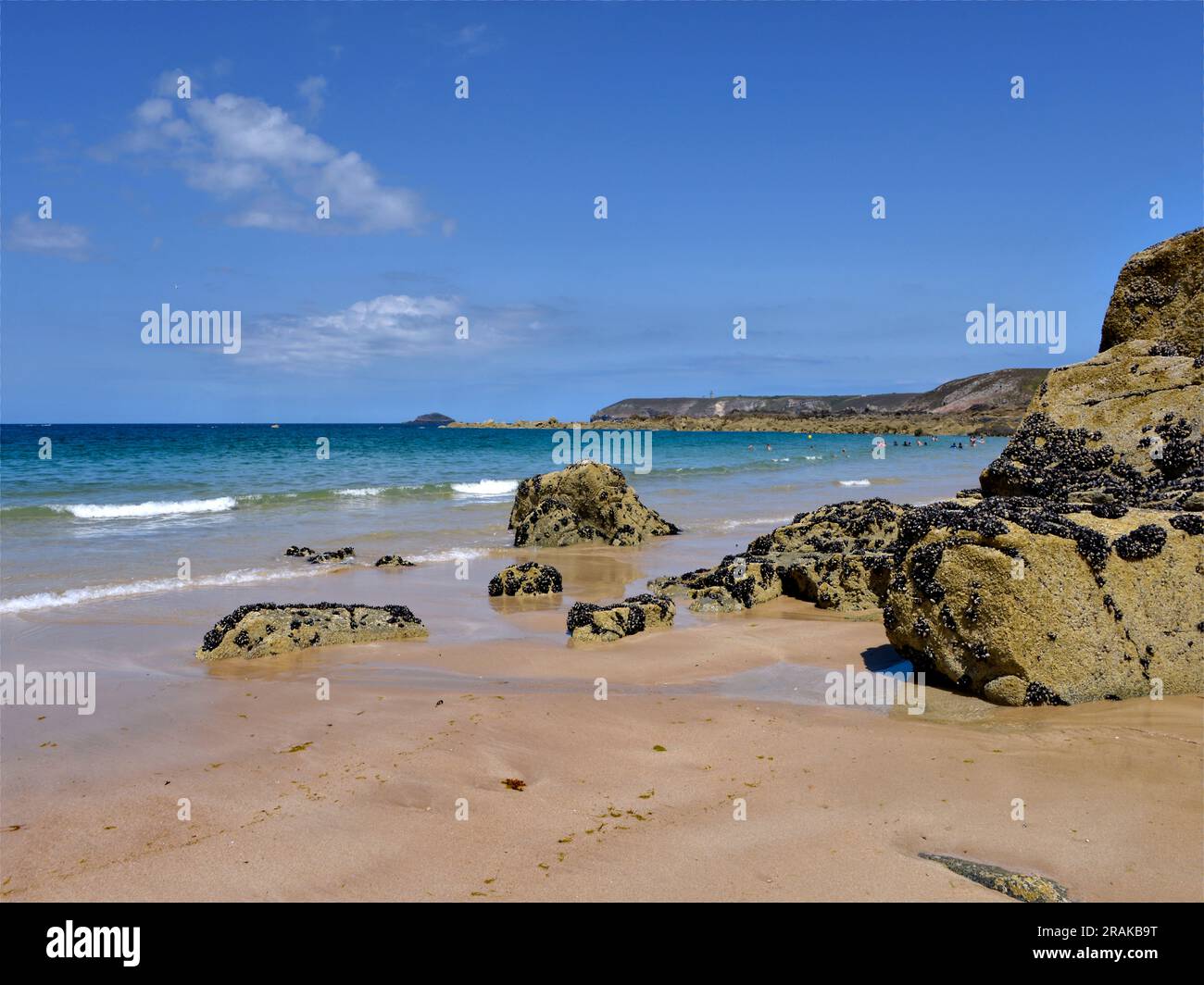 Spiaggia e rocce con cozze a Plevenon, un comune vicino alla penisola di Cap Fréhel nel dipartimento dell'Côtes-d'Armor in Bretagna, nel nord-ovest della Francia Foto Stock