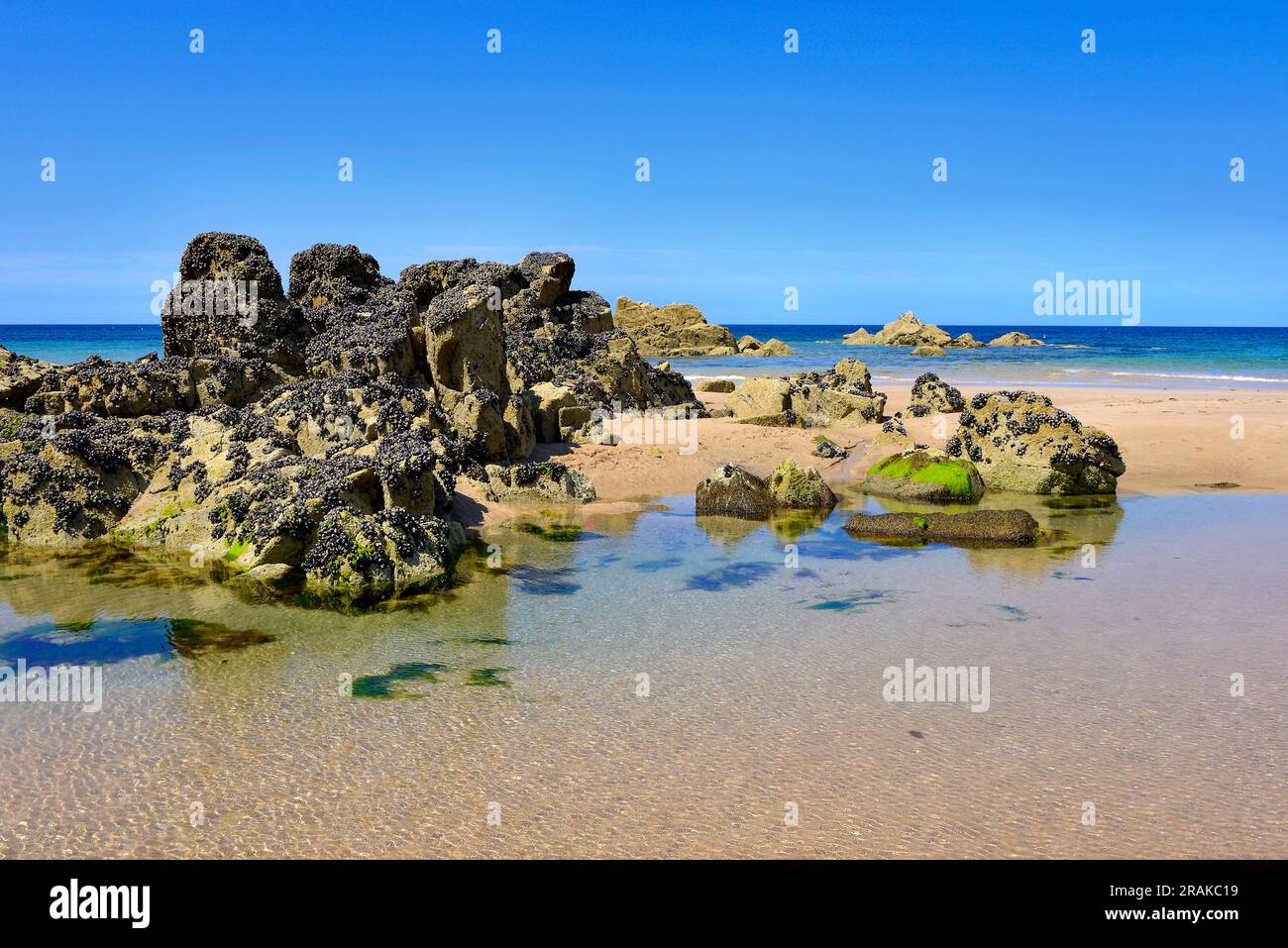 Spiaggia e rocce con cozze di Plevenon, un comune vicino alla penisola di Cap Fréhel nel dipartimento dell'Côtes-d'Armor in Bretagna, nel nord-ovest della Francia Foto Stock