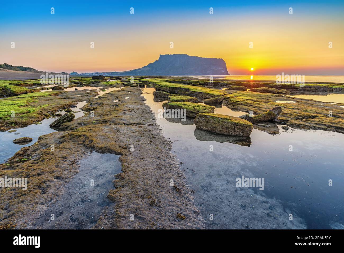 Jeju Island Corea Del Sud, Alba Natura Paesaggio A Jeju Do Seongsan Ilchulbong Foto Stock