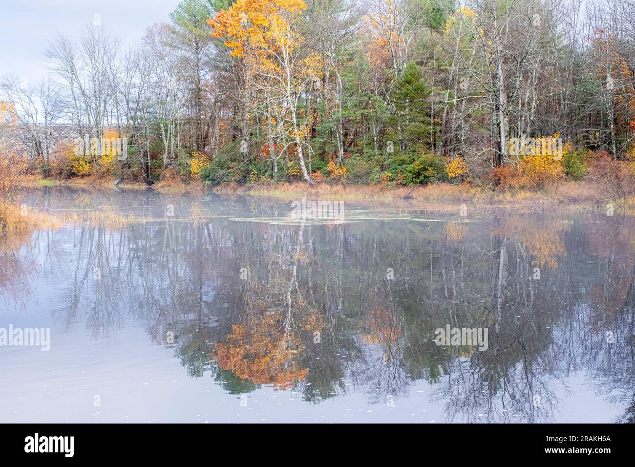 Nebbia sul fiume Millers nella riserva di Birch Hill a Royalston, Massachusetts Foto Stock