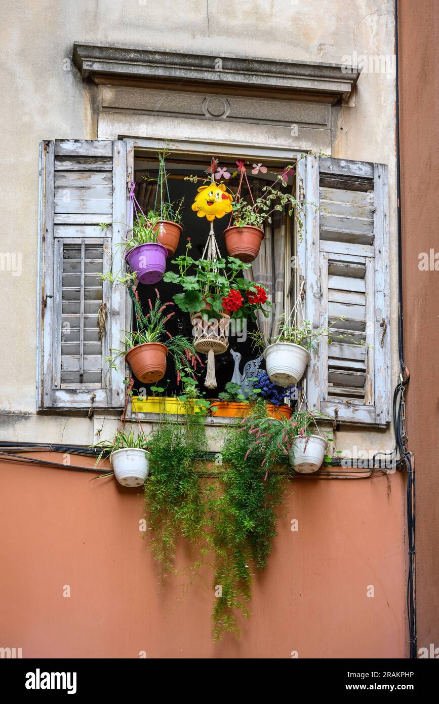 Vasi di fiori appesi disposti in una finestra nel centro storico medievale di Spalato accanto alle mura del Palazzo di Diocleziano, Spalato, Dalmazia, Croazia. Foto Stock