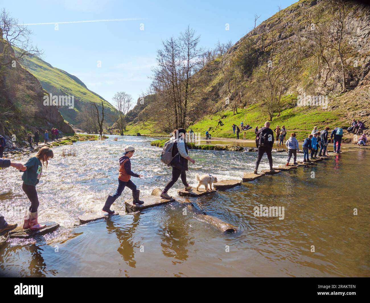 Persone che attraversano le stepping Stones sul fiume dove nel Peak District, Inghilterra, Regno Unito Foto Stock