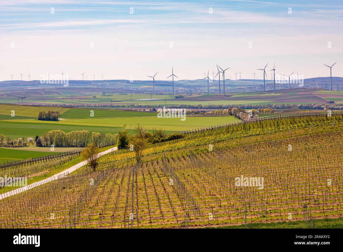Paesaggio con sentieri e vigneti di fronte alle centrali eoliche per generare energia elettrica per la transizione energetica tedesca, Renania-Palatinato Foto Stock