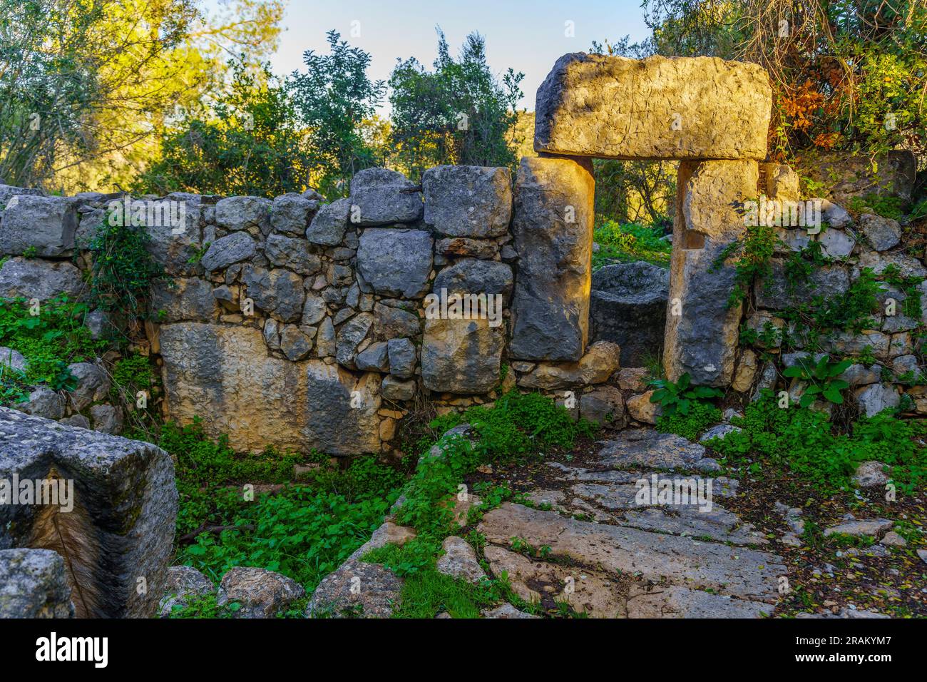 Vista di una pressa petrolifera dell'epoca bizantina, con un cartello esplicativo, nel sito archeologico di Khurvat (rovine) Daniela, alta Galilea, Israele settentrionale Foto Stock