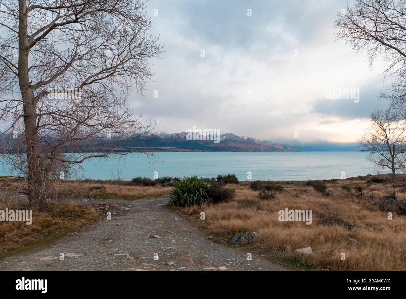 Fotografa il lago Pukaki la mattina presto in una giornata nuvolosa con montagne innevate sullo sfondo dell'Isola del Sud della nuova Zelanda Foto Stock