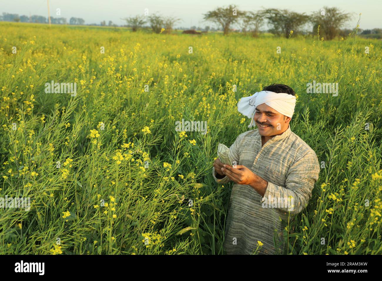 Giovane felice agricoltore indiano in piedi in campo di senape godendo dei profitti agricoli. È felice di essere beneficiato dalla senape che fiorisce le colture. Foto Stock