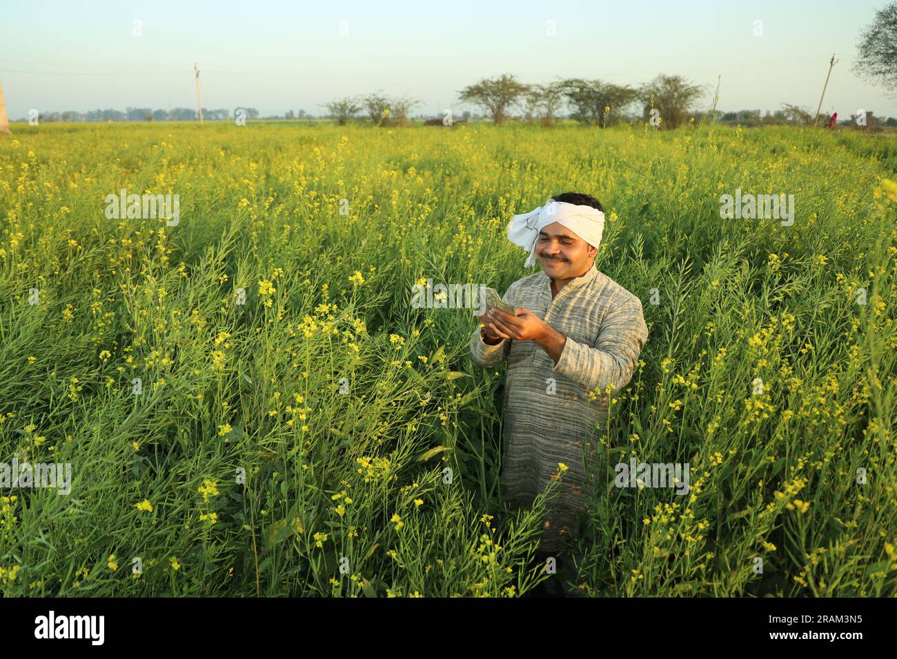 Giovane felice agricoltore indiano in piedi in campo di senape godendo dei profitti agricoli. È felice di essere beneficiato dalla senape che fiorisce le colture. Foto Stock