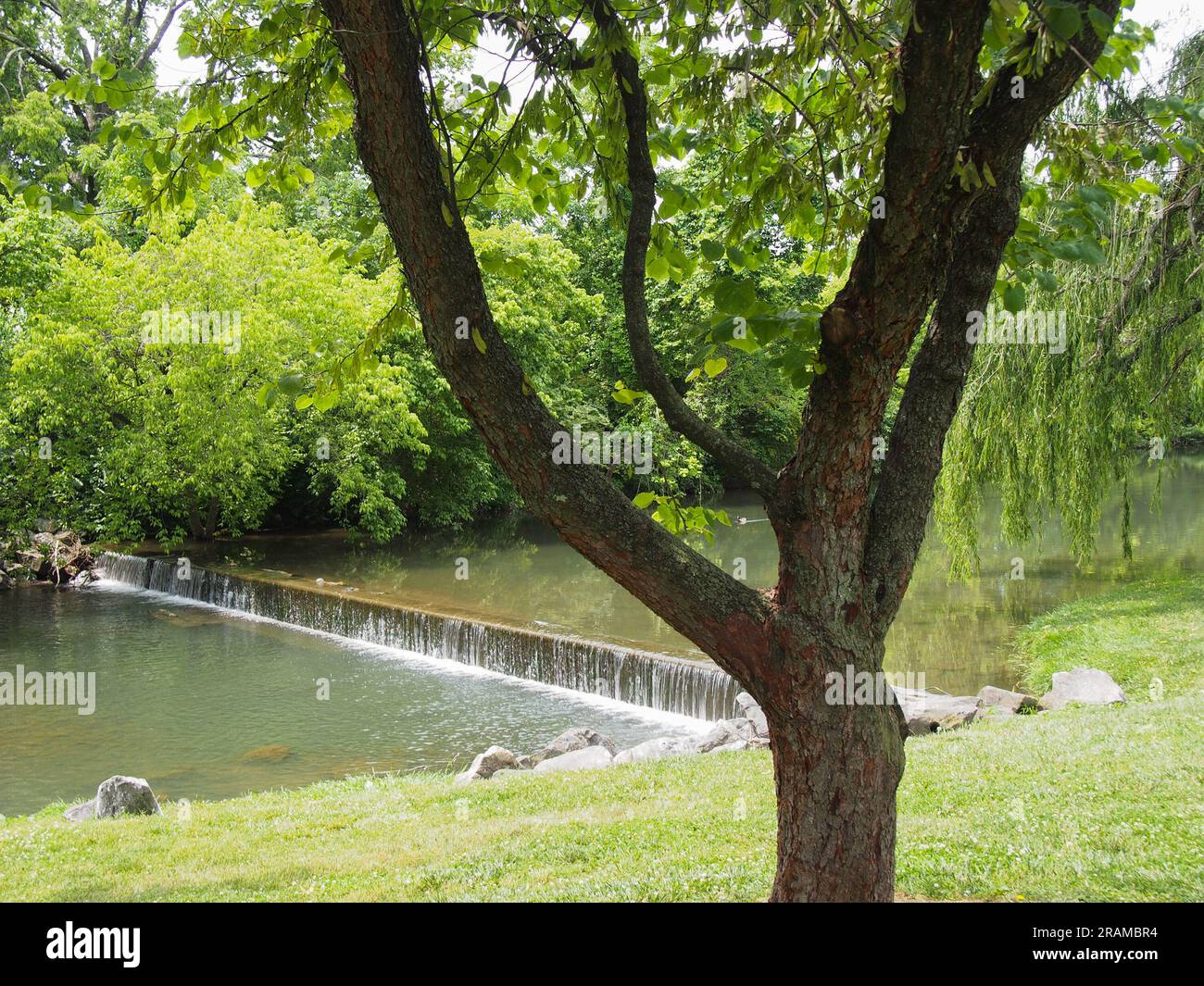 Vista di Carroll Creek nel verde del Baker Park a Frederick, Maryland, 3 giugno 2023, © Katharine Andriotis Foto Stock