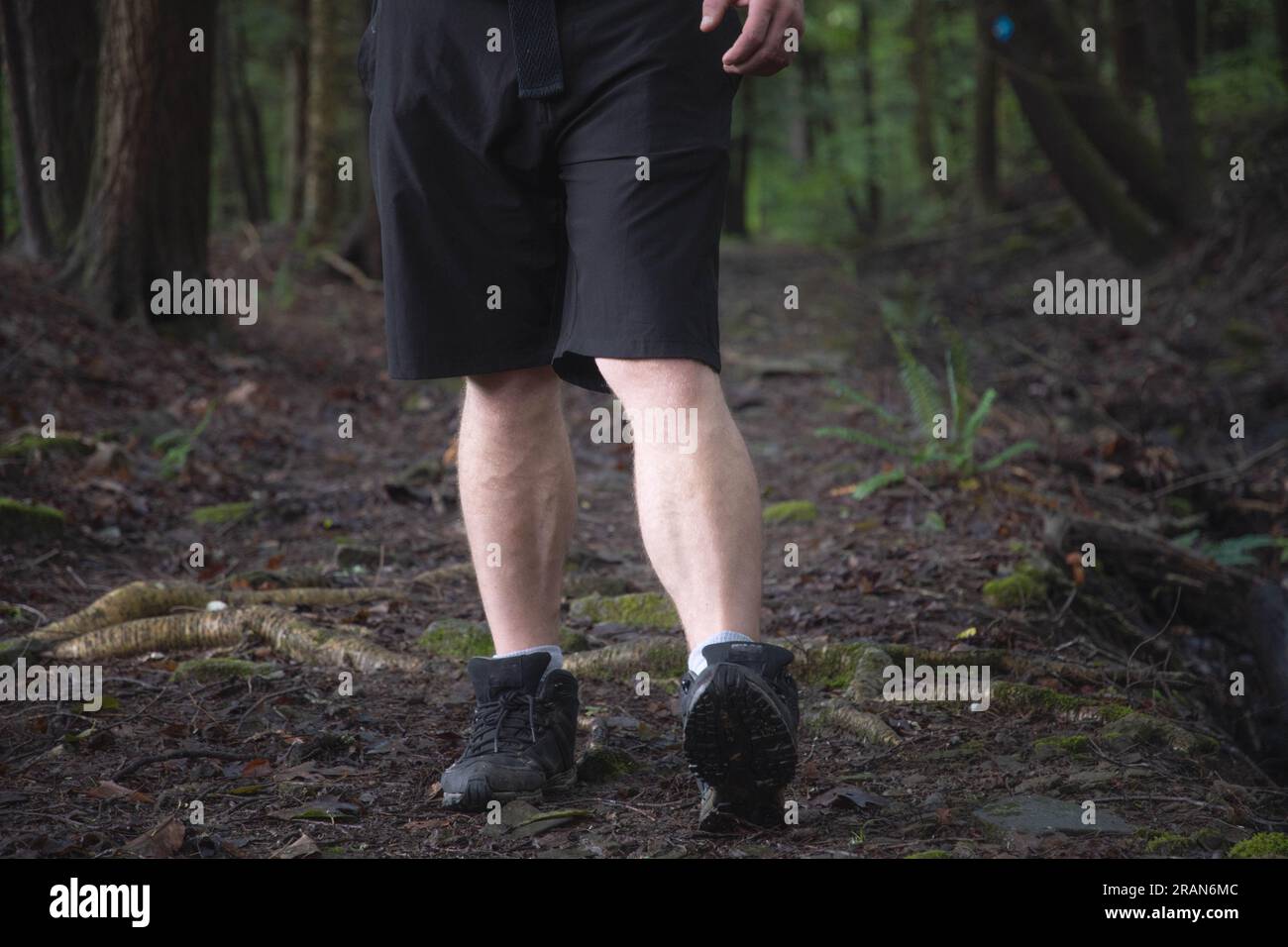 Escursionista su un sentiero che passa per ostacoli nel bosco si concentra su gambe e scarpe da trekking, all'interno del sentiero forestale, copia spazio striscione tema sfondi. Foto Stock